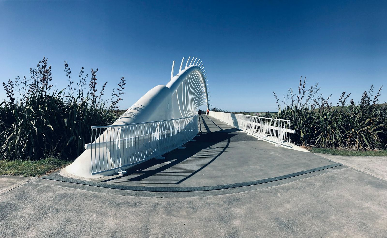 New Plymouth Coastal Walkway curving towards the white Te Rewa Rewa Bridge