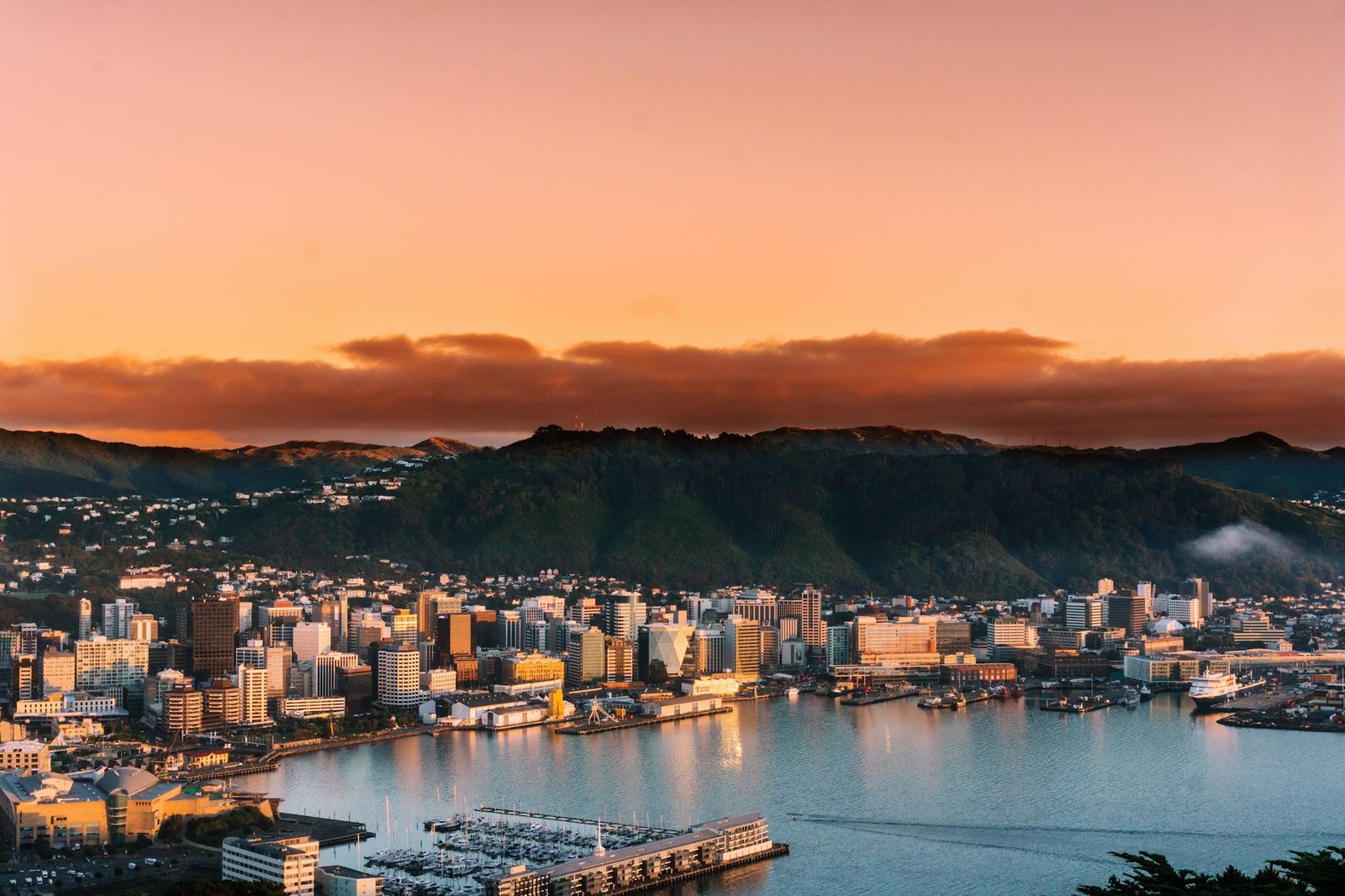 Aerial view of Wellington city buildings and harbour at sunset