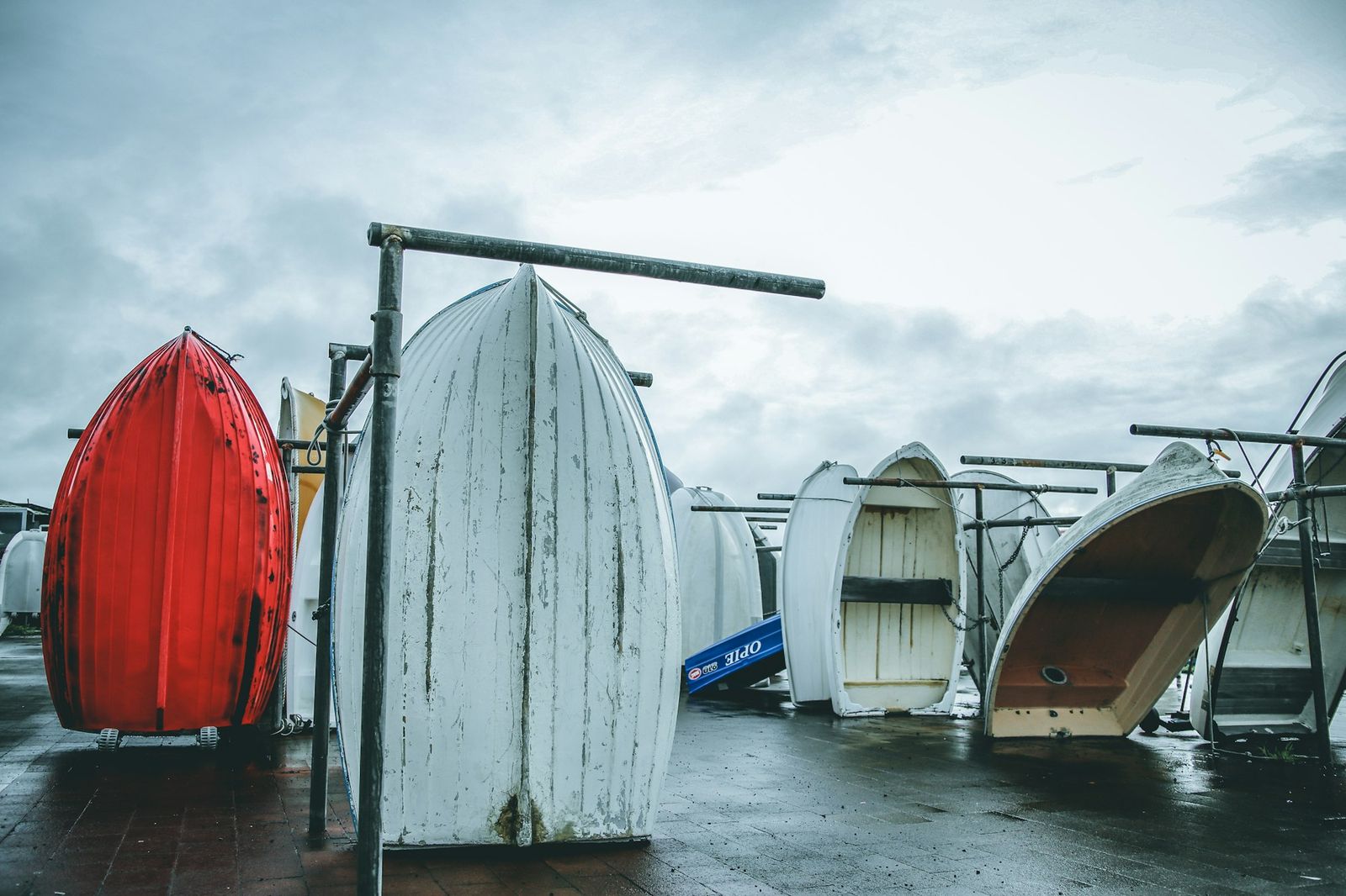 Boats berthed at a marina in Whangārei on a clear day